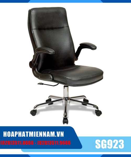 hpmn-SG923_1