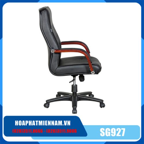 hpmn-SG927_3