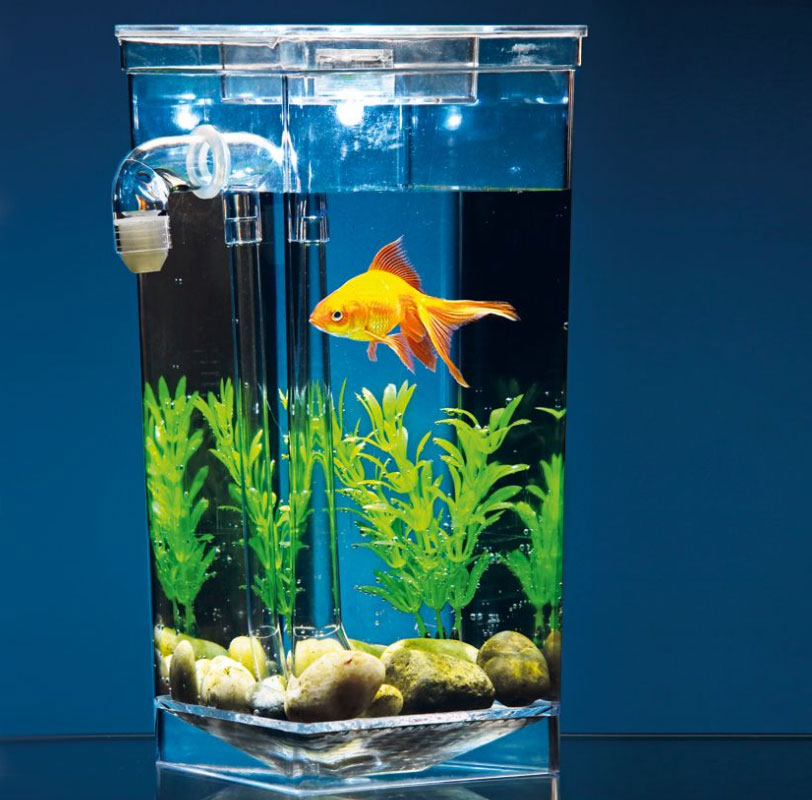 chon-do-vat-de-ban-lam-viec-hop-phong-thuy-1