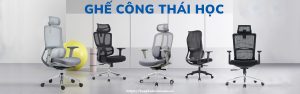 ghe-van-phong-cong-thai-hoc-1