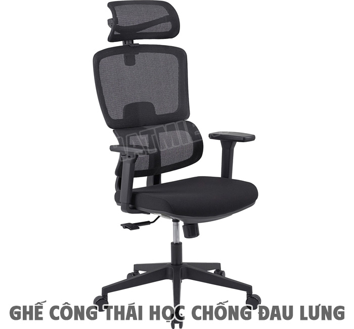 Ghế Công Thái Học Là Gì?