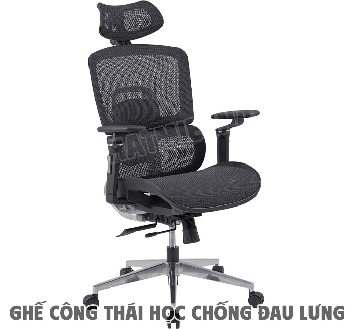 Lợi Ích Của Ghế Công Thái Học Chống Đau Lưng