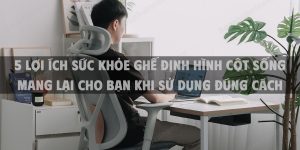 5 Lợi ích sức khỏe ghế định hình cột sống mang lại cho bạn khi sử dụng đúng cách