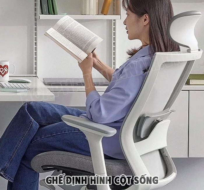 Tiêu Chí Lựa Chọn Ghế Định Hình Cột Sống