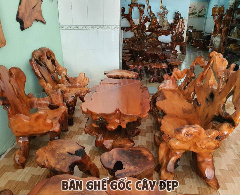 Xu hướng sử dụng ghế gốc trong không gian gia đình