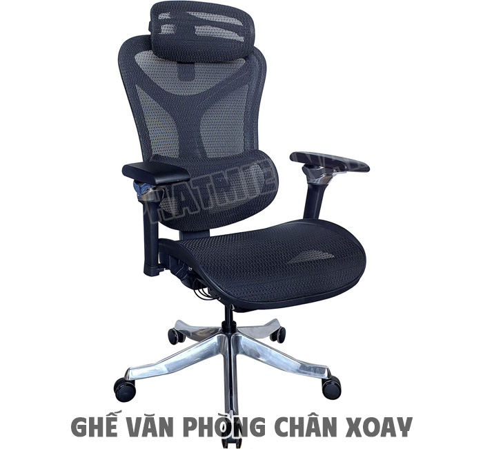 chức năng điều chỉnh