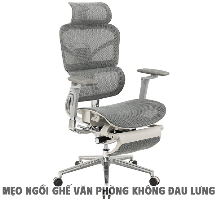 Ghế Công Thái Học (Ergonomic Chair)