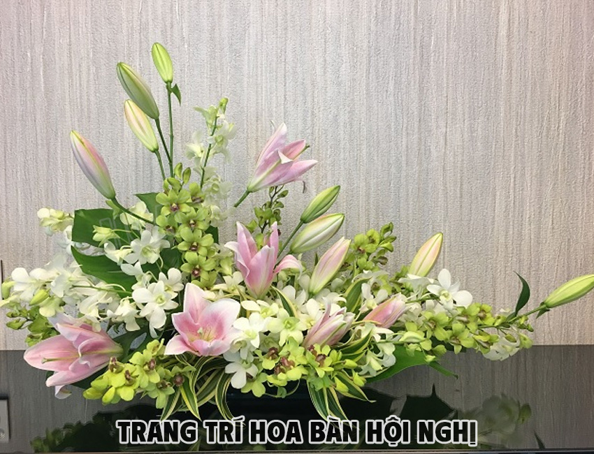 Hoa Lan Trang Trí Bàn Hội Nghị