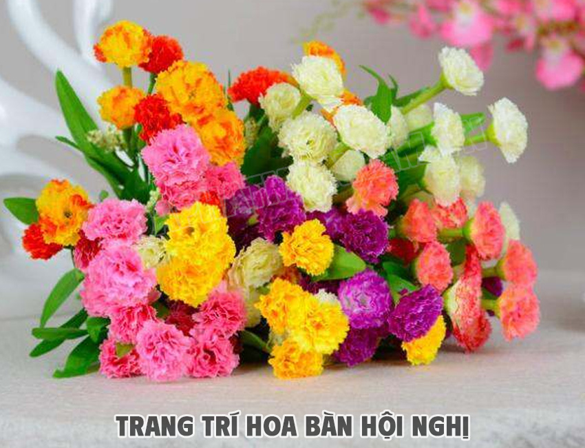 Hoa Cẩm Chướng Trang Trí Bàn Hội Nghị