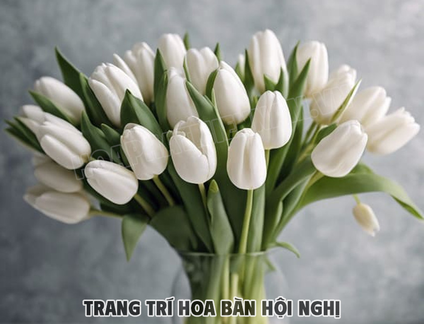 Hoa Tulip Trang Trí Bàn Hội Nghị