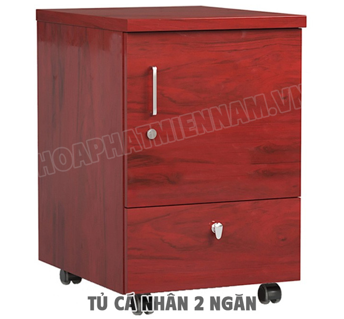 Ứng Dụng Thực Tế Của Tủ Cá Nhân 2 Ngăn Trong Các Môi Trường