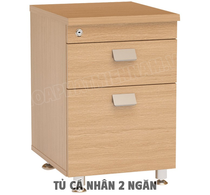 Xu Hướng Thiết Kế Tủ Cá Nhân 2 Ngăn Hiện Đại