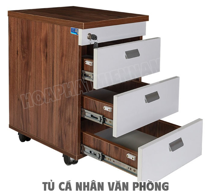 Tủ Cá Nhân Văn Phòng Là Gì?