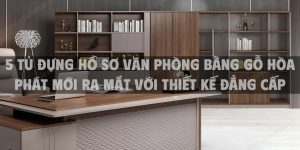 Top 5 tủ đựng hồ sơ văn phòng bằng gỗ Hòa Phát mới ra mắt với thiết kế đẳng cấp cho 2025