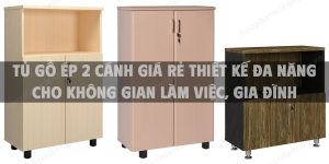 Tủ gỗ ép 2 cánh giá rẻ thiết kế đa năng cho không gian làm việc, gia đình