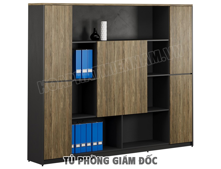 Giới Thiệu Chung Về Tủ Phòng Giám Đốc Hòa Phát