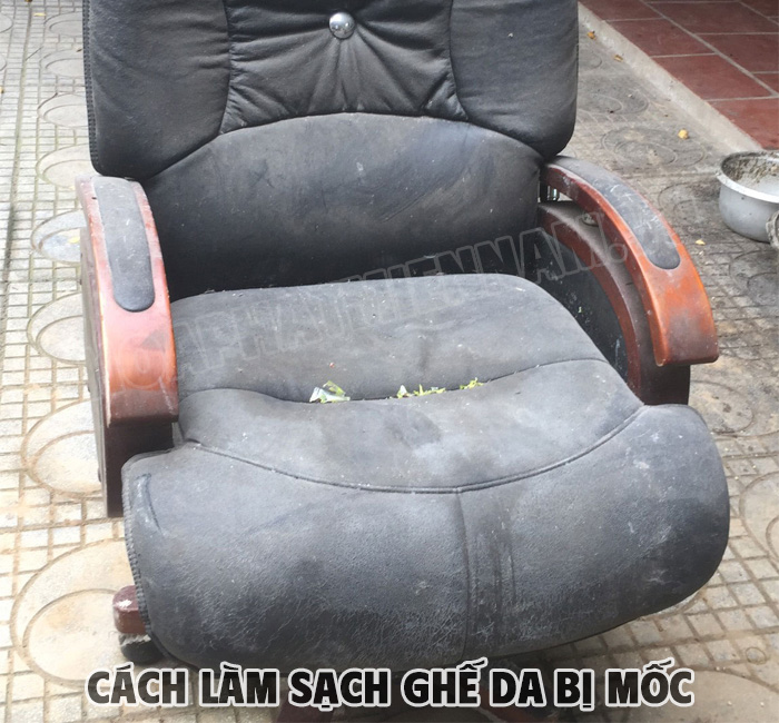 Nguyên Nhân Ghế Da Bị Mốc