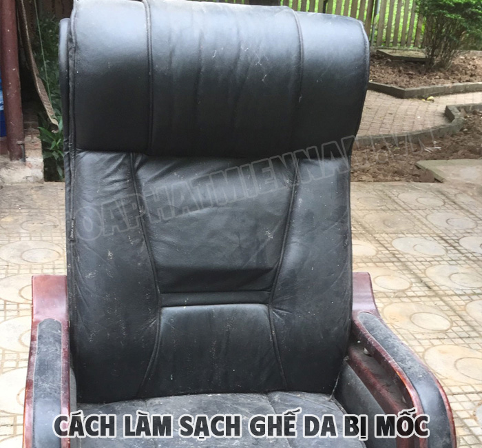 cach-lam-sach-ghe-da-bi-moc-2