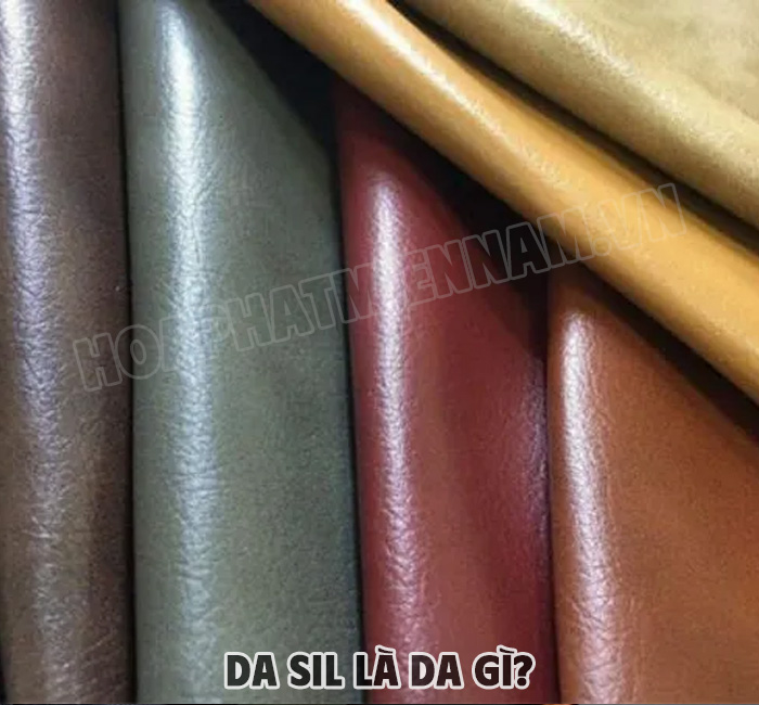 Da Sil Là Da Gì?