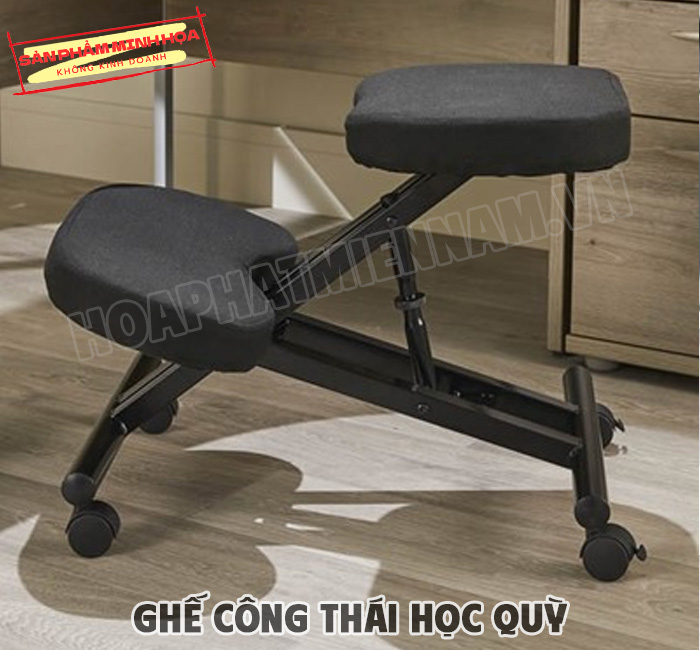 ghe-cong-thai-học-quy-3