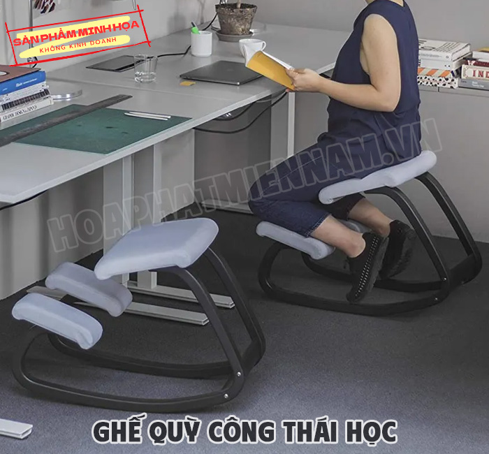 ghe-quy-cong-thai-hoc-4