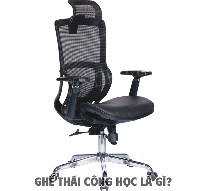 Định nghĩa ghế thái công học