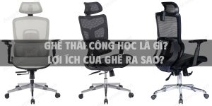 Ghế thái công học là gì? lợi ích của ghế ra sao?