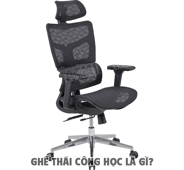So Sánh Ghế Thái Công Học với Ghế Văn Phòng Thông Thường