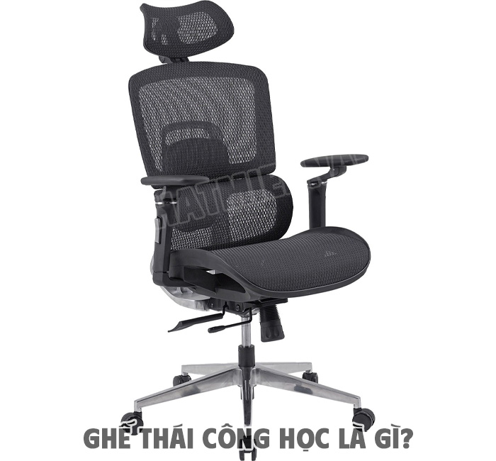 Ai Nên Sử Dụng Ghế Thái Công Học?
