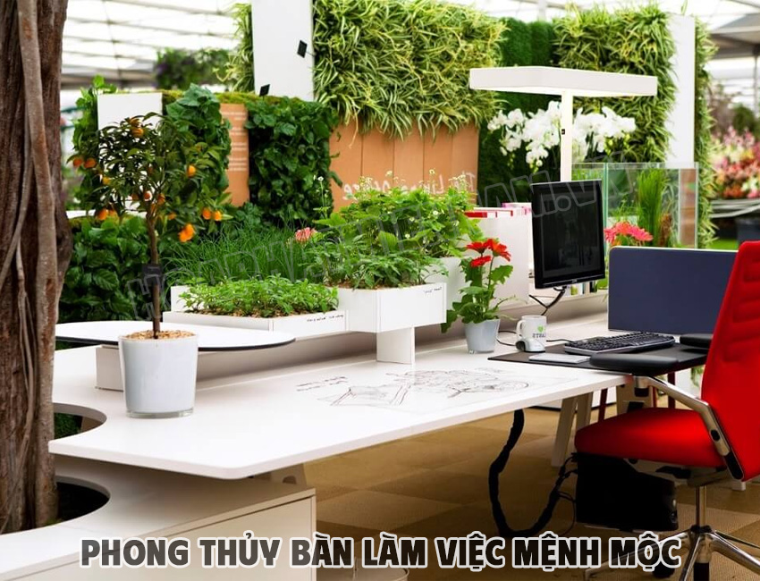 Phong thủy bàn làm việc cho người mệnh Mộc