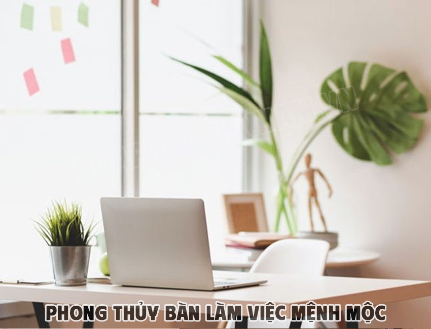 Hướng phong thủy bàn làm việc cho người mệnh Mộc