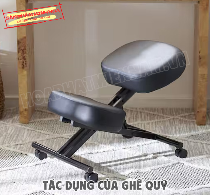tac-dung-cua-ghe-quy-12