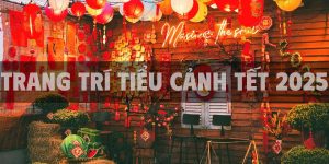 Trang trí tiểu cảnh Tết 2025