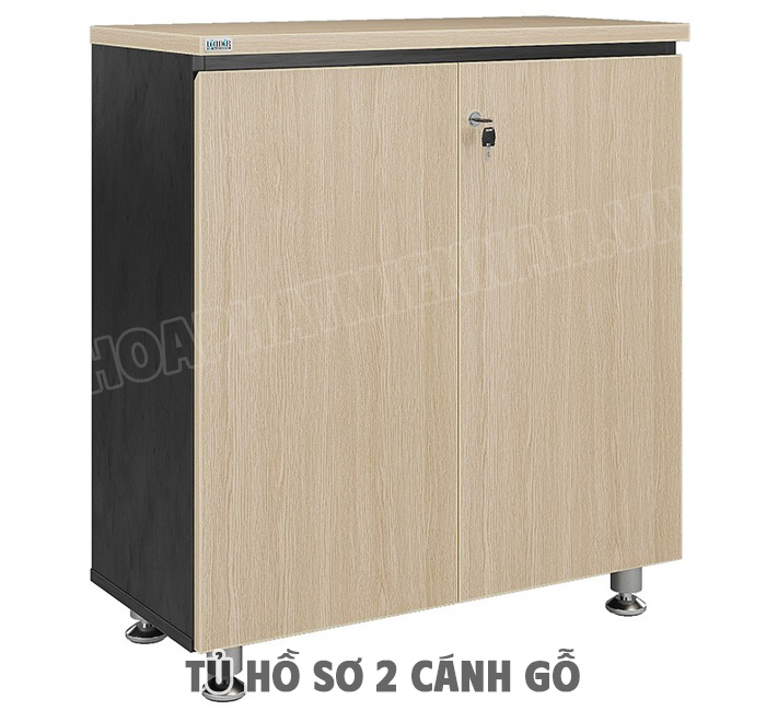 Tủ Hồ Sơ 2 Cánh Gỗ Là Gì?