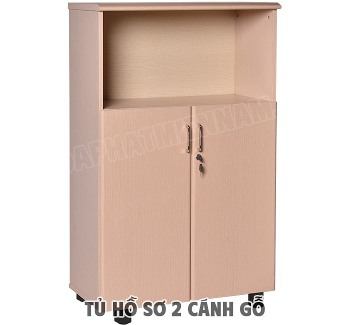 Phân Loại Tủ Hồ Sơ 2 Cánh Gỗ