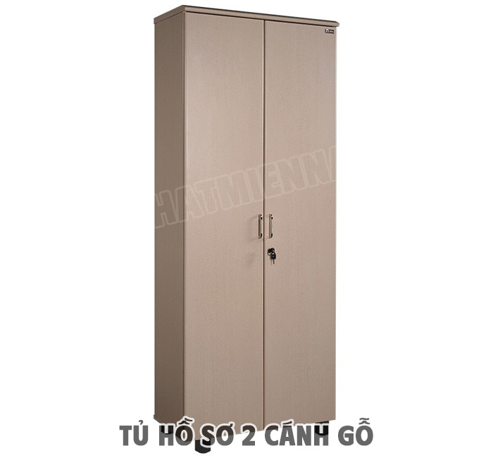 Các Mẫu Tủ Hồ Sơ 2 Cánh Gỗ Phổ Biến