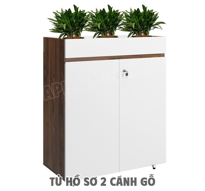 Cách Chọn Tủ Hồ Sơ 2 Cánh Gỗ Phù Hợp Cho Văn Phòng