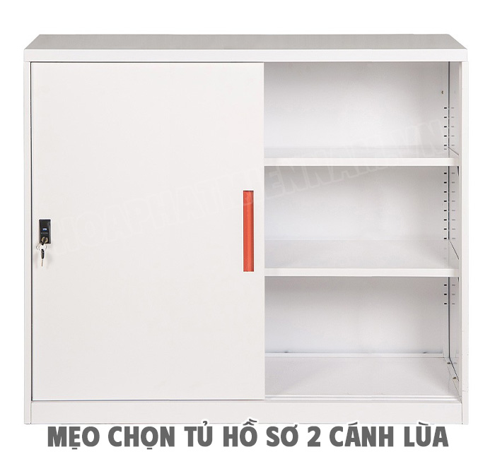 Mẹo Chọn Tủ Hồ Sơ 2 Cánh Lùa Hoàn Hảo Cho Không Gian Làm Việc