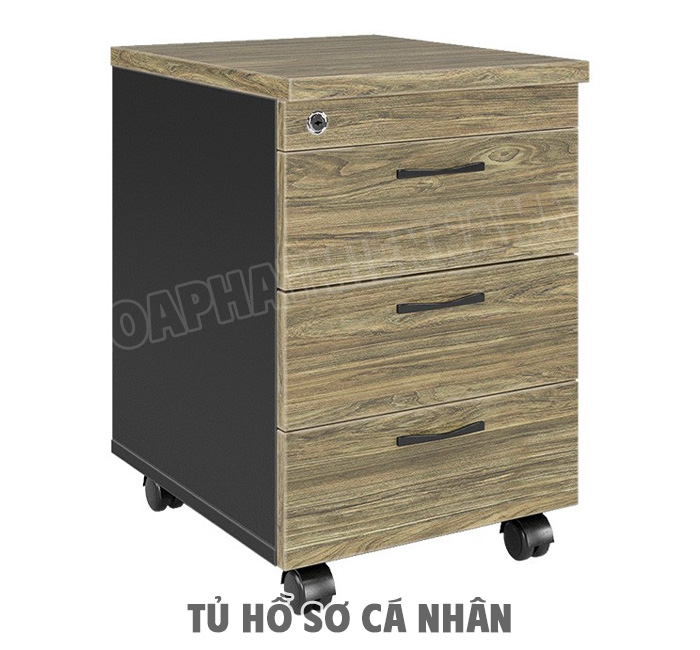 tu-ho-so-ca-nhan-2