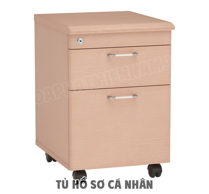 Bí Quyết Sử Dụng và Bảo Quản Tủ Hồ Sơ Cá Nhân