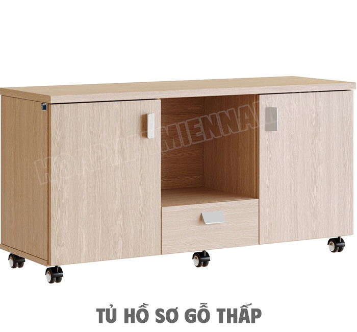 Kích Thước Phổ Biến Của Tủ Hồ Sơ Gỗ Thấp