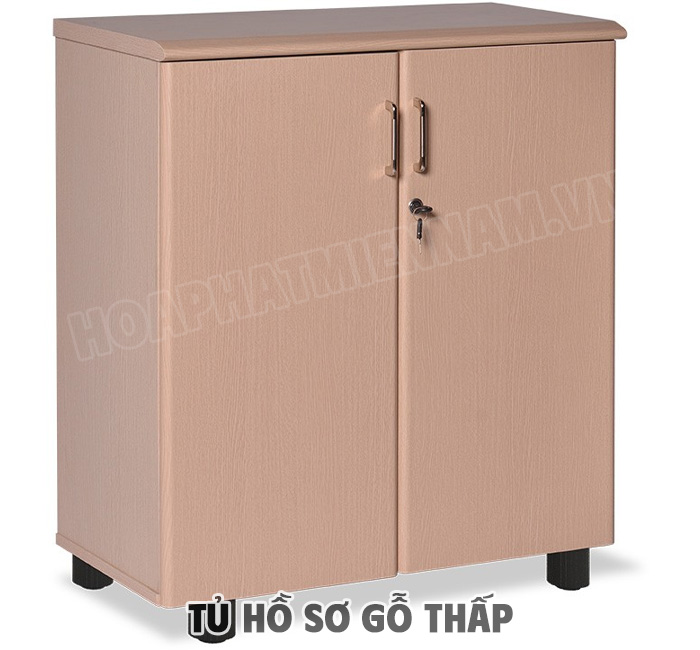 Công Dụng Của Tủ Hồ Sơ Gỗ Thấp
