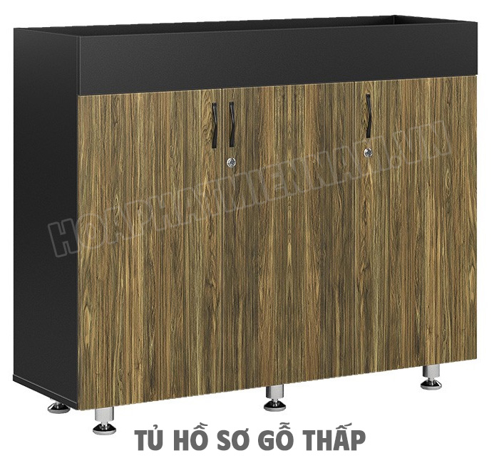 Cách Lựa Chọn Tủ Hồ Sơ Gỗ Thấp Phù Hợp