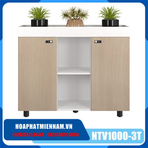 Tủ văn phòng gỗ công nghiệp NTV1000-3T2