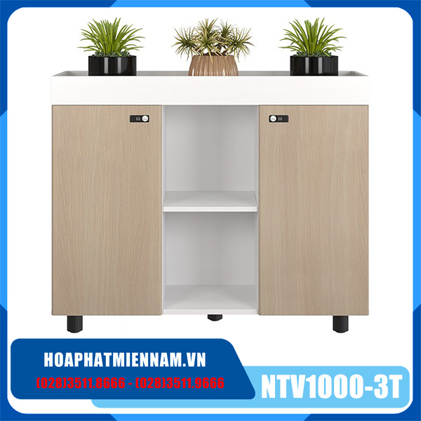 Tủ văn phòng gỗ công nghiệp NTV1000-3T2
