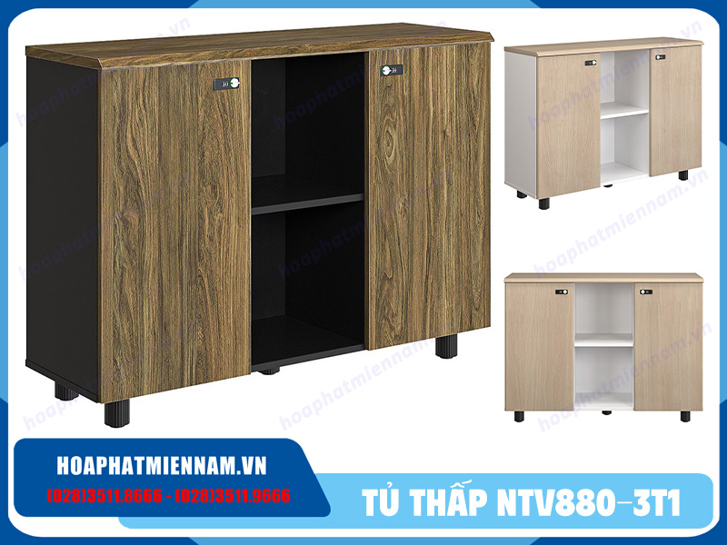 Tủ văn phòng 2 cánh NTV880-3T1