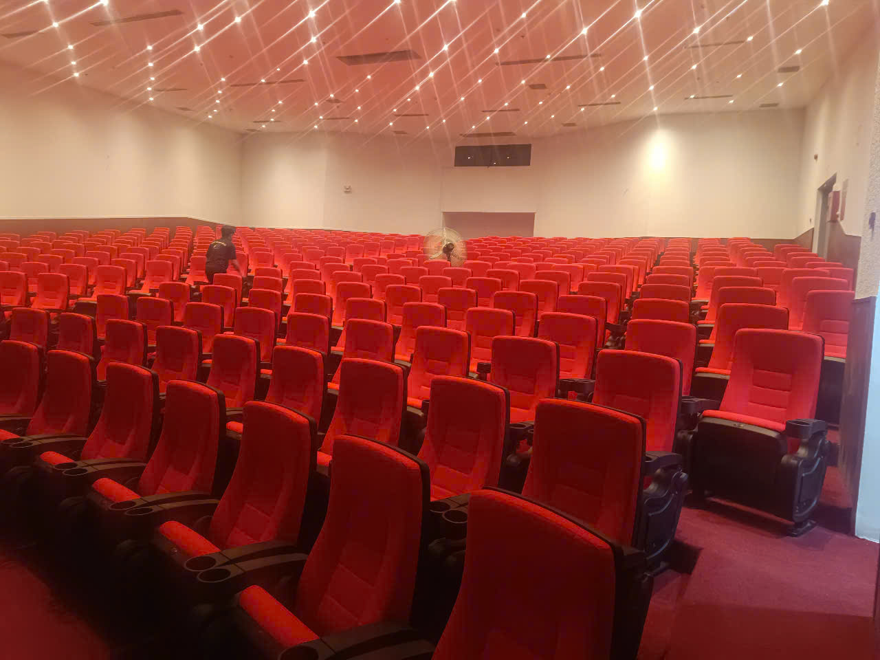 Lắp Đặt Ghế Hội Trường Tại Trung Tâm Văn Hóa Hậu Giang Quận 6 TPHCM