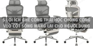 5 lợi ích ghế công thái học chống cong vẹo cột sống mang lại cho người dùng