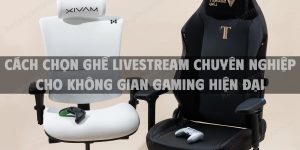Cách chọn ghế livestream chuyên nghiệp cho không gian gaming hiện đại