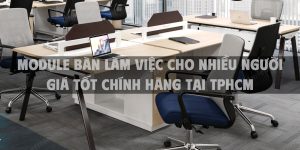 Module bàn làm việc cho nhiều người giá tốt chính hãng tại TPHCM